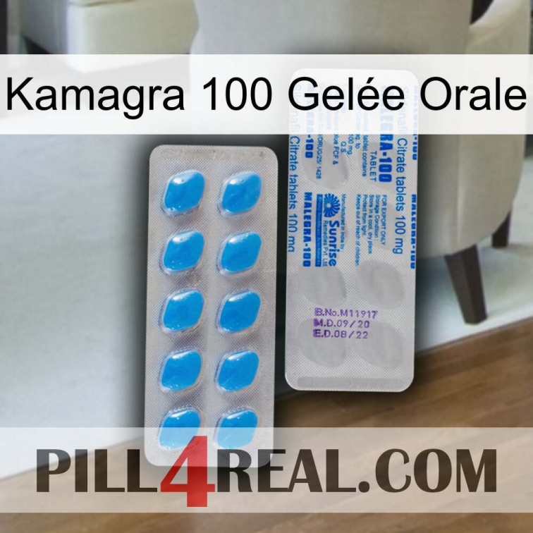 Kamagra 100 Gelée Orale new15